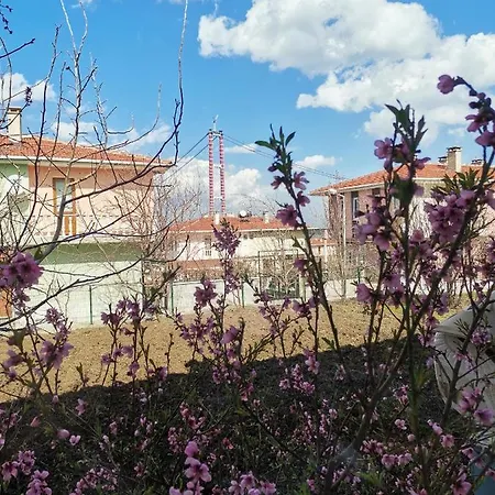 1915 Kopru Manzarali 700m2 Bahceli Mustakil Ev