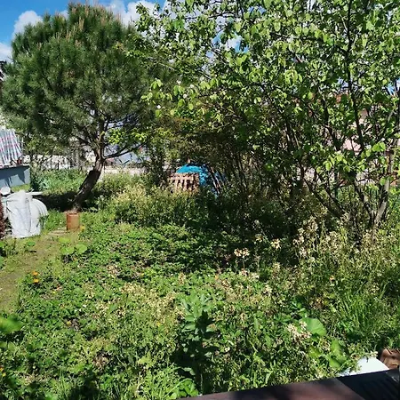 1915 Koeprue Manzarali 700m2 Bahceli Mustakil Ev 3* تْشاناكالي