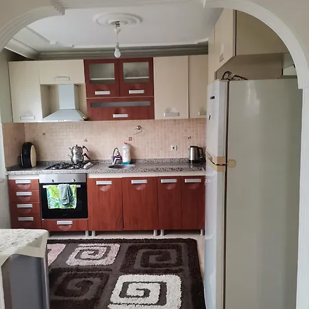 1915 Kopru Manzarali 700m2 Bahceli Mustakil Ev Holiday home